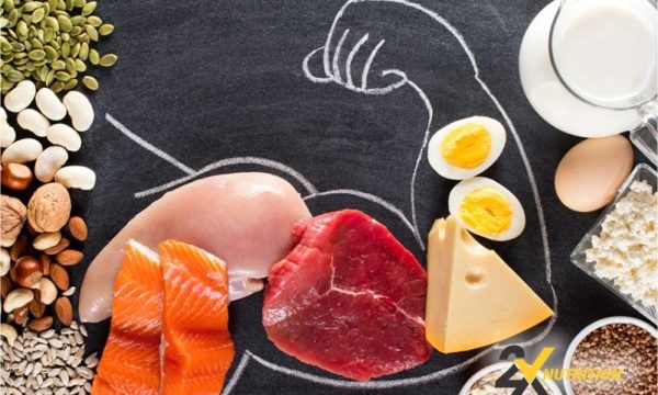 Beyond Protein: Must-Have Nutrients for Stronger Muscles