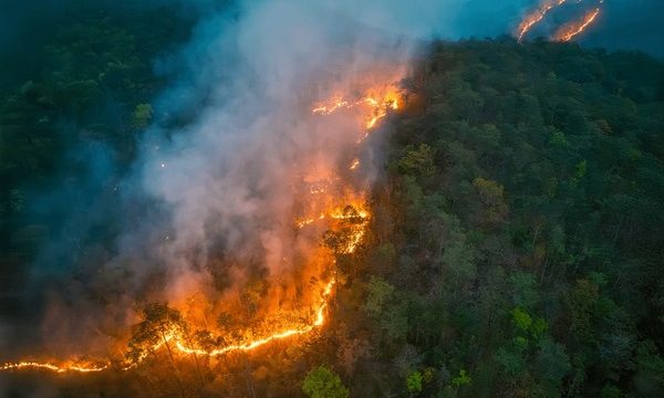 Wildfire Seasons Are Getting Worse—And So Is Their Surprising Impact on Brain Health in Older Adults | Credits: Shutterstock